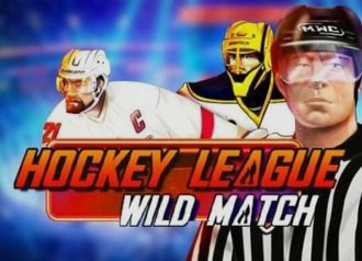 hockey league wild match hockey